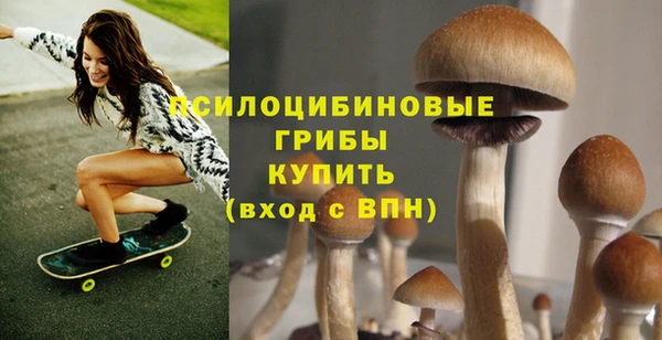 таблы Алзамай